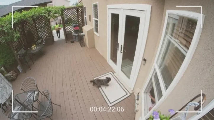 Vidéosurveillance professionnelle installée par CHEKELEC à Paris et en Île-de-France