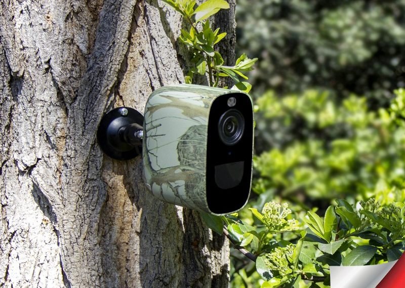 Caméra de surveillance camouflage montée sur un arbre